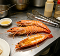 Fresh Mantis Shrimp